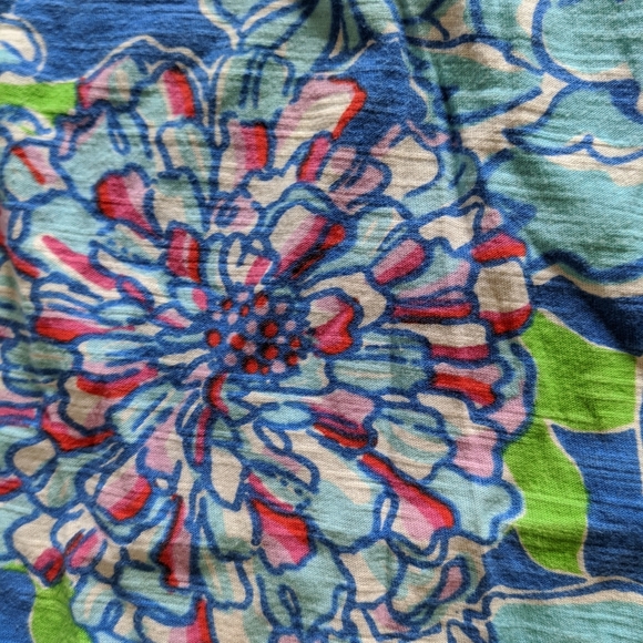 Lilly Pulitzer Mini Dress - Picture 4 of 5